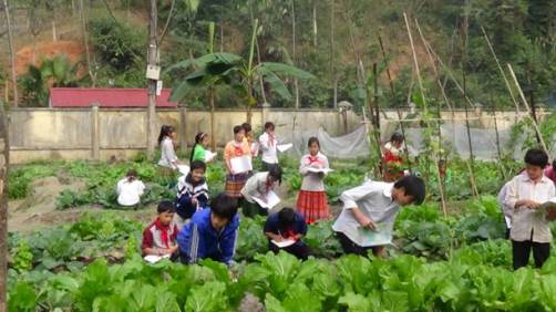Giờ học ngoại khóa của các em học sinh tại mô hình vườn rau cho em