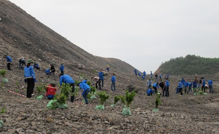 Các đoàn viên thanh niên trồng cây tại khai trường.
