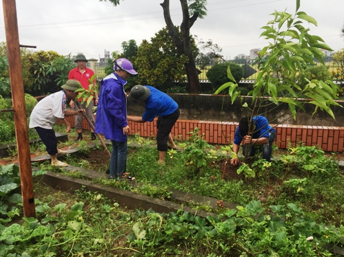 Hoạt động trồng cây của Đoàn viên thanh niên tại các Nghĩa trang liệt sĩ trên địa bàn toàn tỉnh
