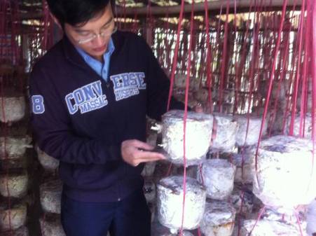 Mô hình trồng nấm sò của Nguyễn Văn Duẩn – Thạch Hạ (TP Hà Tĩnh)