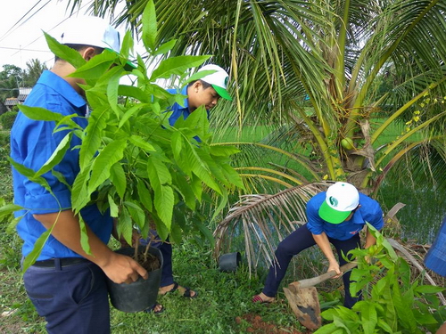 ĐVTN tham gia trồng và chăm sóc cây xanh