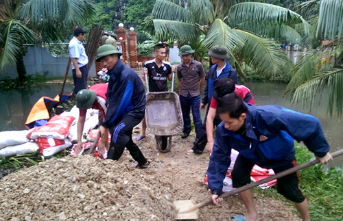 ĐVTN giúp đỡ nhân dân Đông Triều làm lại con đường bị nước lũ phá hỏng