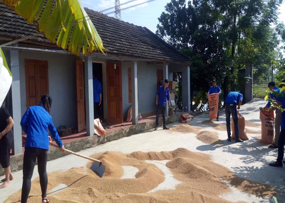 ĐVTN hỗ trợ dọn dẹp nhà cửa, phơi thóc giúp bà con nhân dân sau bão