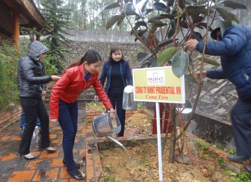 Đ/c Nguyễn Lương Hồng (áo đỏ) - Phó Bí thư Thường trực Tỉnh đoàn tham gia trồng cây cùng ĐVTN