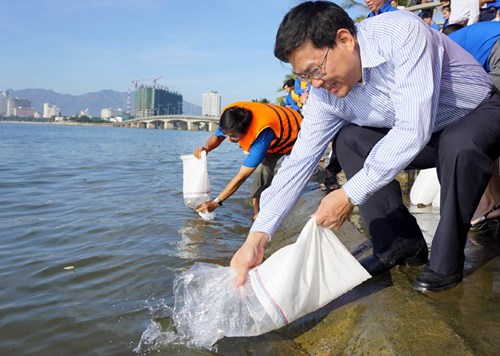  Ông Nguyễn Duy Bắc, Phó Chủ tịch UBND tỉnh Khánh Hòa thả cá giống ra biển.