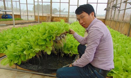 Anh Nguyễn Văn Tuấn bên sản phẩm rau thủy canh