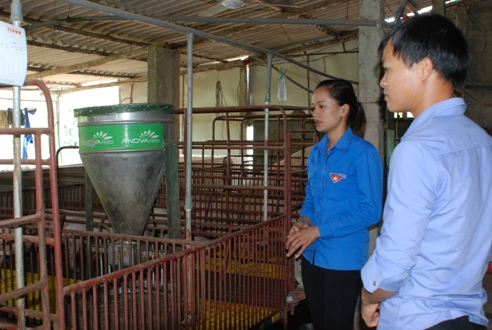 Ảnh: ĐVTN huyện Hữu Lũng trao đổi  kinh nghiệm nuôi lợn nái đem lại hiệu quả kinh tế cao