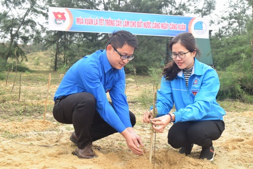 ĐVTN trồng cây tại bãi biễn xã Quang Phú, thành phố Đồng Hới