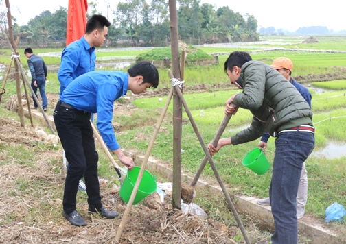Đoàn viên, thanh niên trồng và chăm sóc cây tại buổi lễ