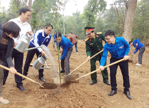 ĐVTN tham gia trồng cây chào mừng 87 năm Ngày thành lập Đoàn TNCS Hồ Chí Minh