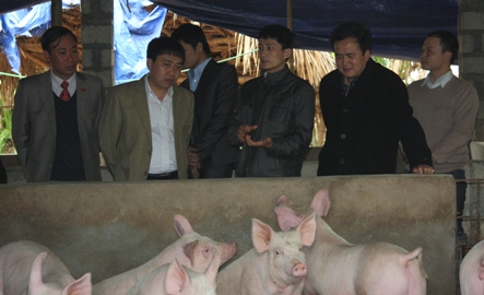 đ/c Nguyễn Mạnh Dũng (ở giữa - bên trái) thăm mô hình chăn nuôi lợn của anh Nguyễn Văn Toàn 