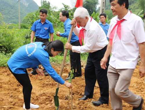 Đồng chí Lê Thanh Đạo - nguyên Bí thư thứ hai Trung ương Đoàn, Chủ tịch Hội đồng Đội Trung ương khoá I tham gia trồng cây