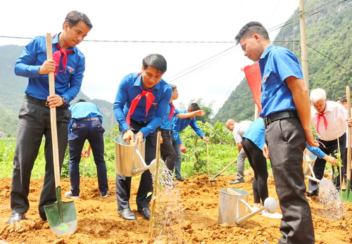Bí thư Trung ương Đoàn tham gia trồng cây cùng ĐVTN