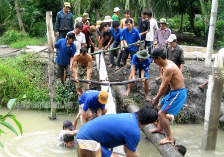 Thanh niên tình nguyện tỉnh Bến Tre làm cầu nông thôn