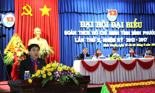 Bí thư Nguyễn Mạnh Dũng phát biểu tại Đại hội
