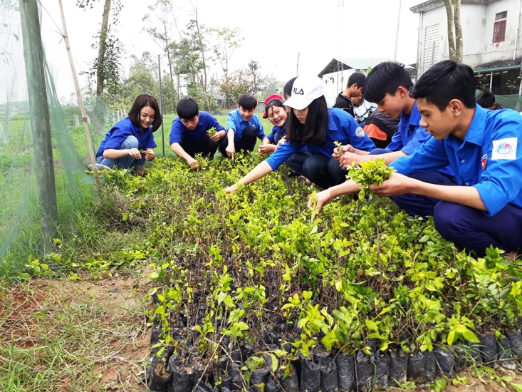 Đoàn viên thanh niên huyện Kỳ Anh tham gia ươu vườn cây thanh niên hỗ trợ các xã xây dựng nông thôn mới