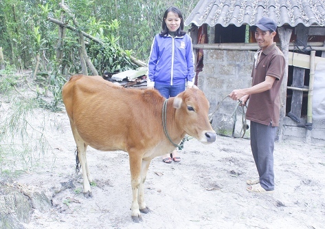 Lãnh đạo Huyện đoàn Vĩnh Linh đến thăm các gia đình được tặng bò