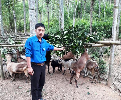 mô hình trang trại tổng hợp của anh Trần Thanh Hải không chỉ làm giàu cho bản thân mà còn giải quyết việc làm cho thanh niên tại địa phương có thu nhập ổn định