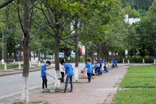  Hoạt động quét vôi cây xanh quanh khu vực quảng trường Thị trấn của các bạn ĐVTN trong Chương trình