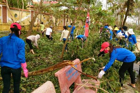 Đoàn trường Đại học Quảng Bình giải phóng hệ thống cây gãy trong khuôn viên trường