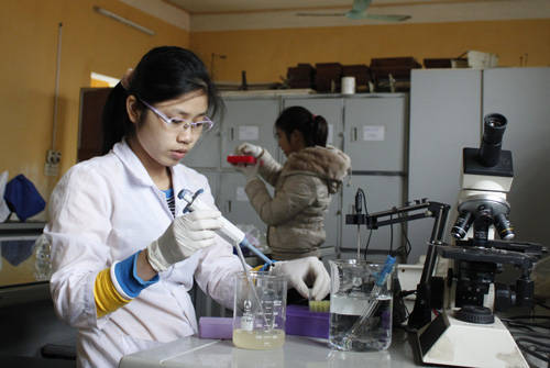 Nguyễn Thị Linh với hoạt động nghiên cứu khoa học của mình