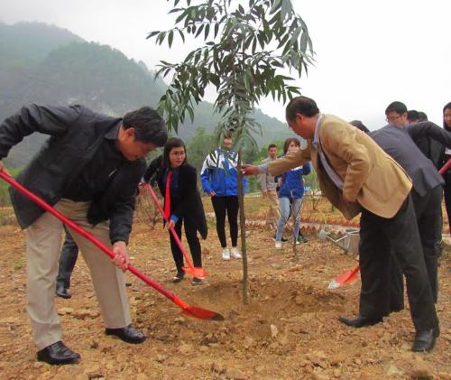 Đồng chí Trần Thanh Nam - Thứ trưởng Bộ NN&PTNT và các đồng chí lãnh đạo tham gia trồng cây, chụp ảnh lưu niệm tại buổi lễ