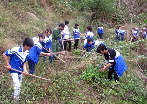  Tuổi trẻ Lục Ngạn tham gia trồng cây, hưởng ứng Tháng Thanh niên (Ảnh: Minh Thu)