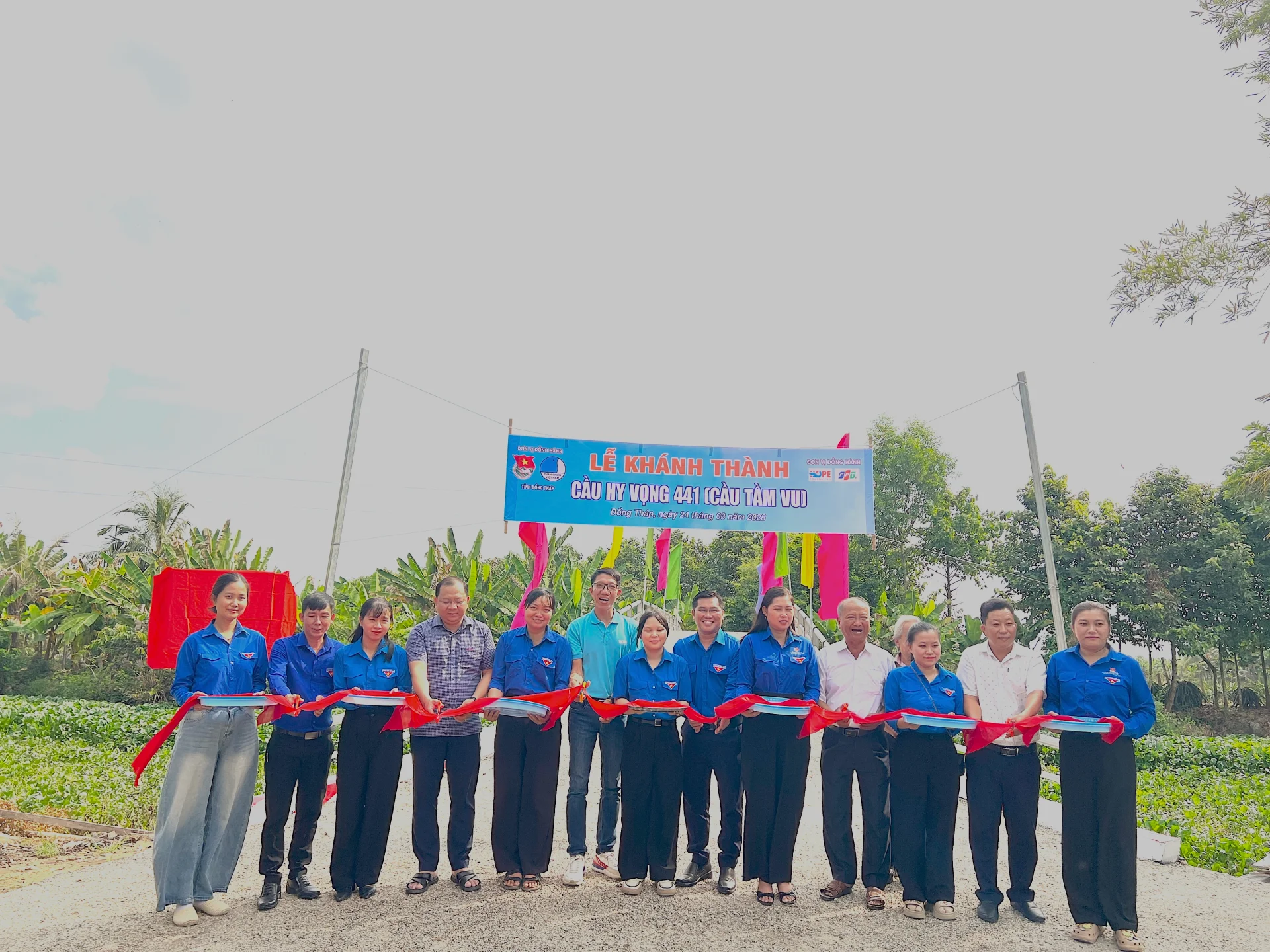 Hình ảnh bài viết