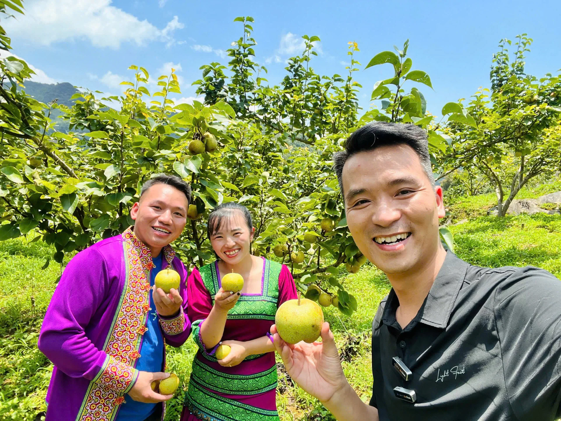 Hình ảnh bài viết