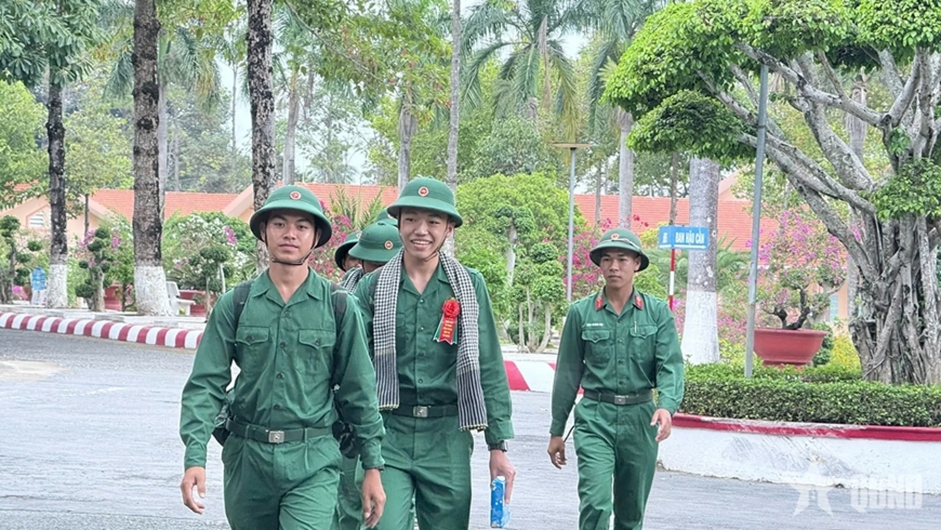 Hình ảnh bài viết