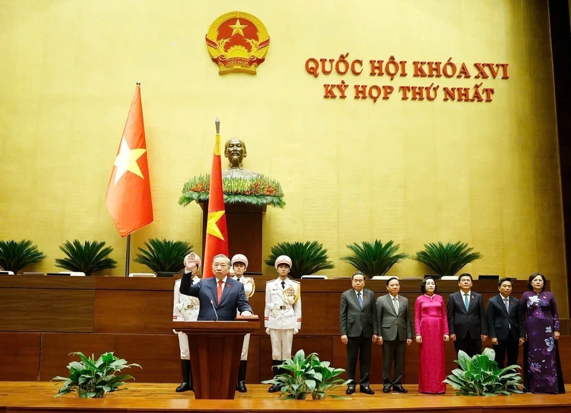 Hình ảnh bài viết