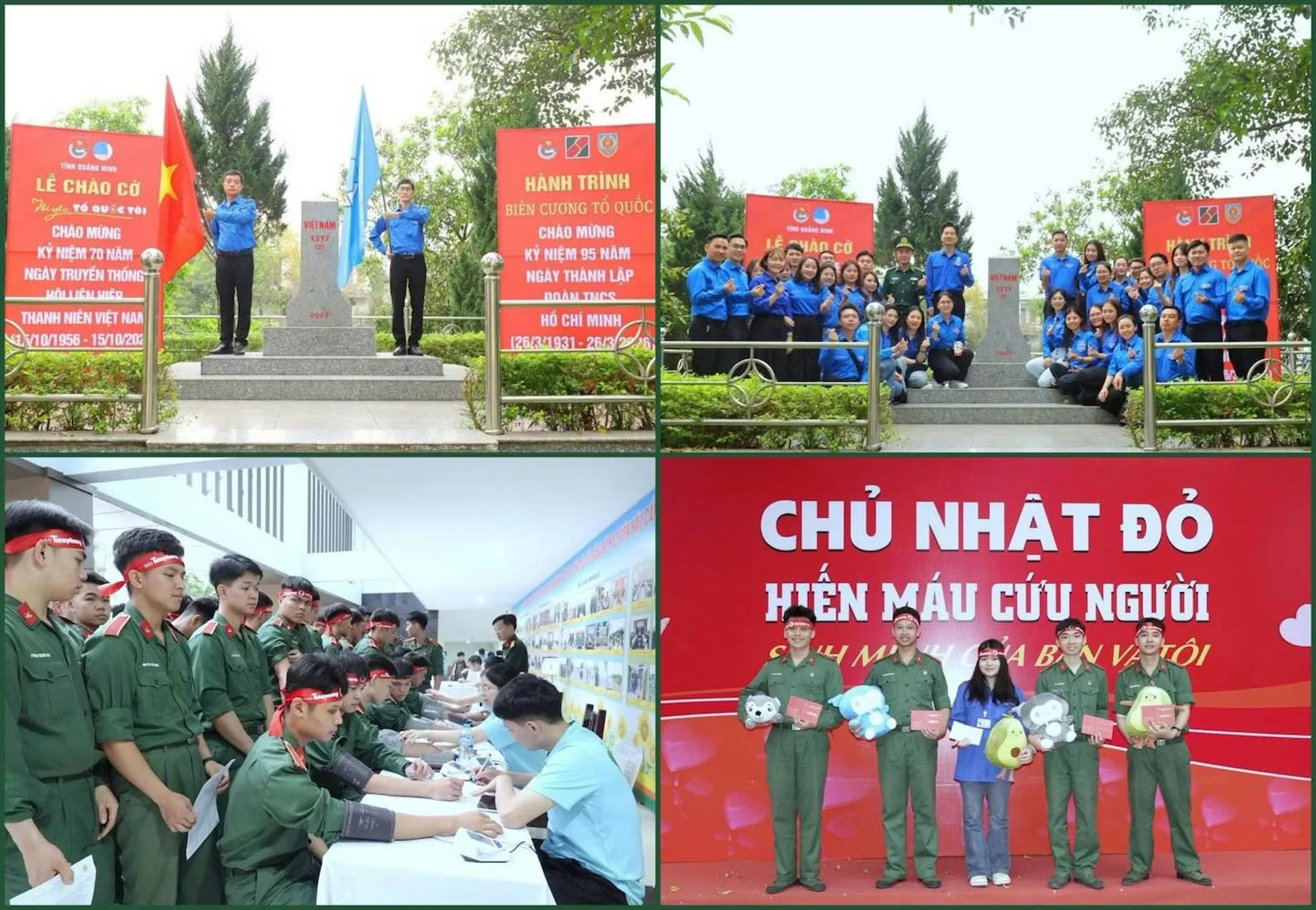 Hình ảnh bài viết