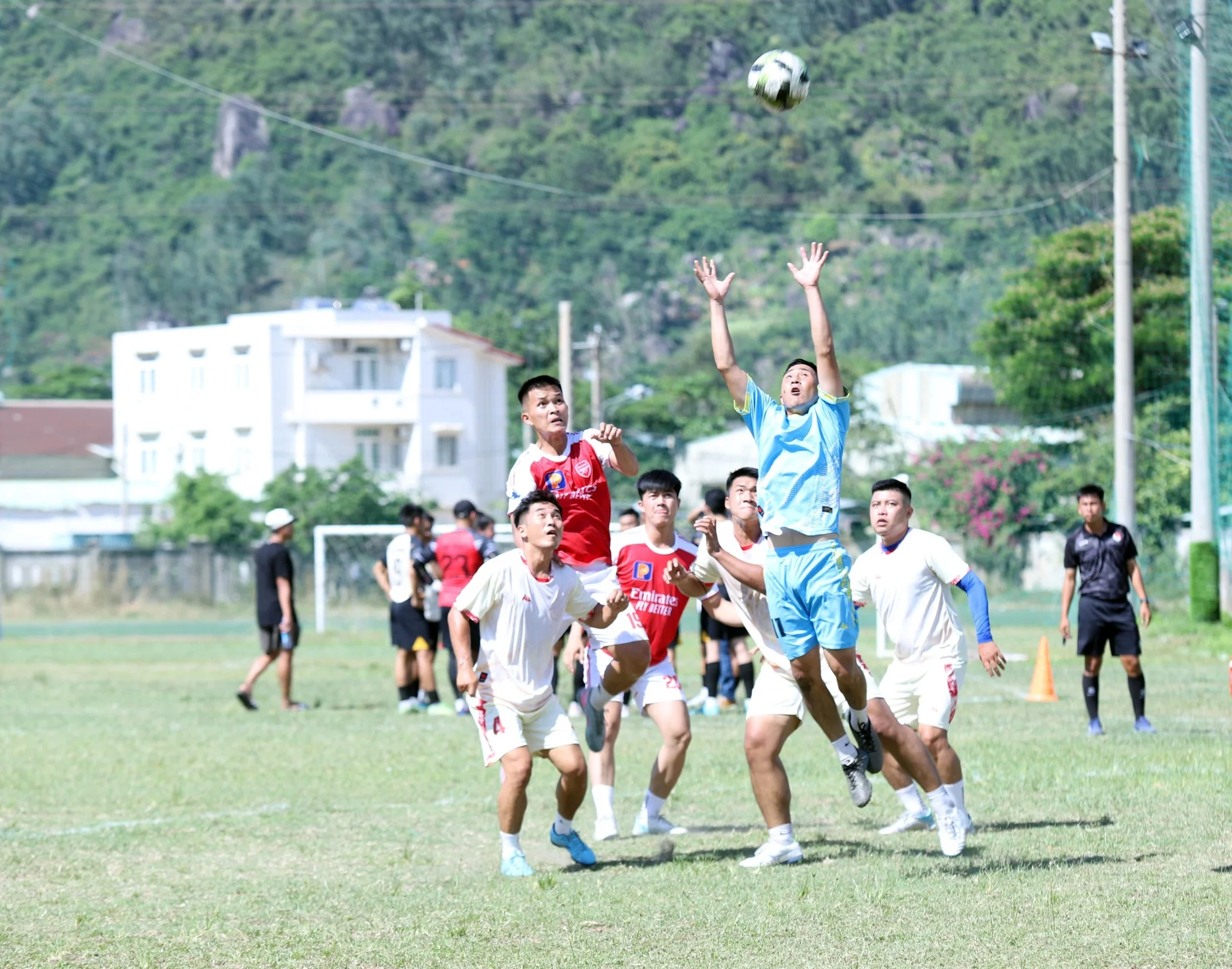 Hình ảnh bài viết