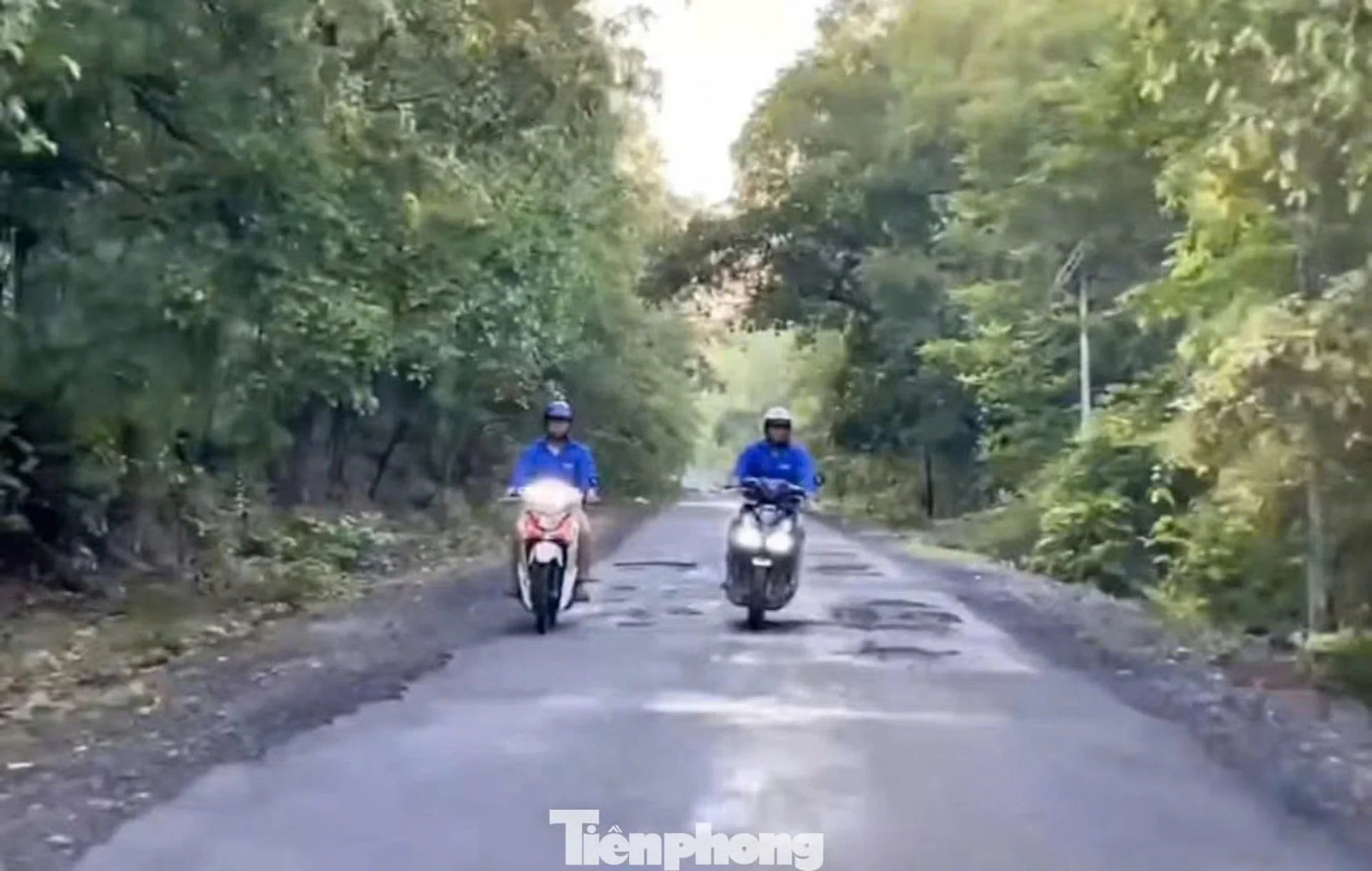 Hình ảnh bài viết