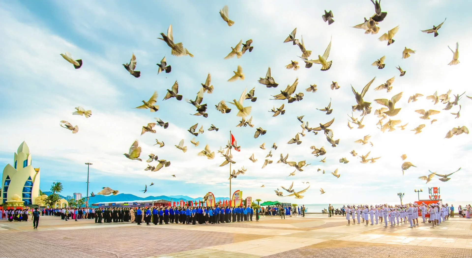 Hình ảnh bài viết