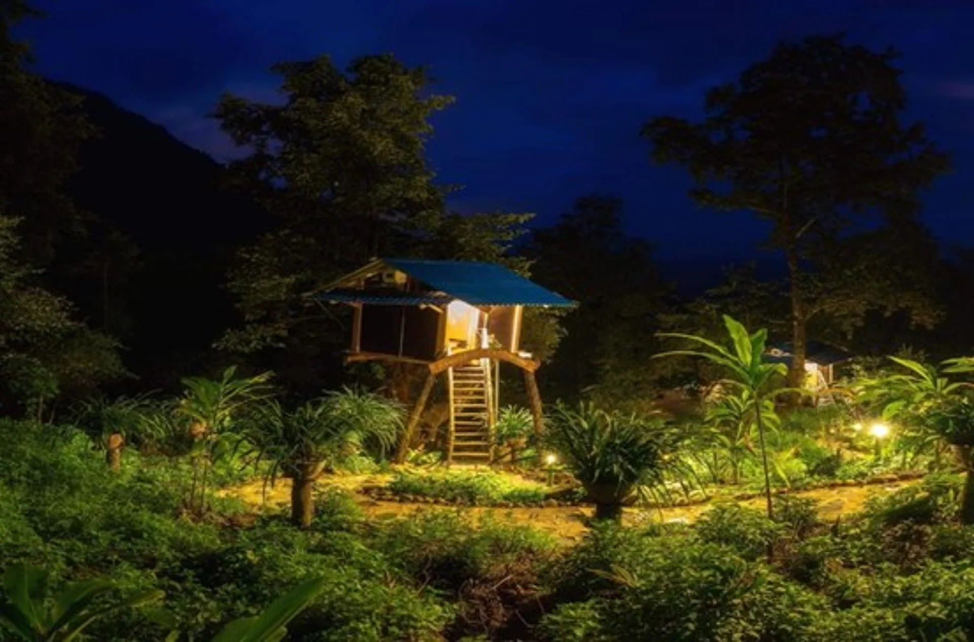 Hình ảnh bài viết