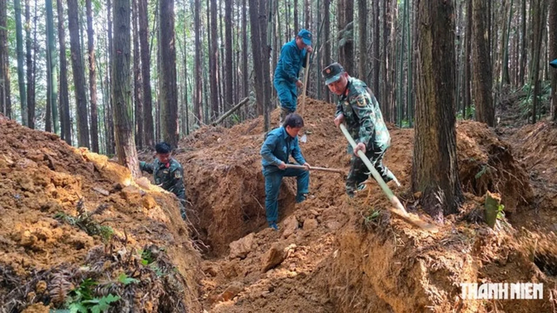 Hình ảnh bài viết