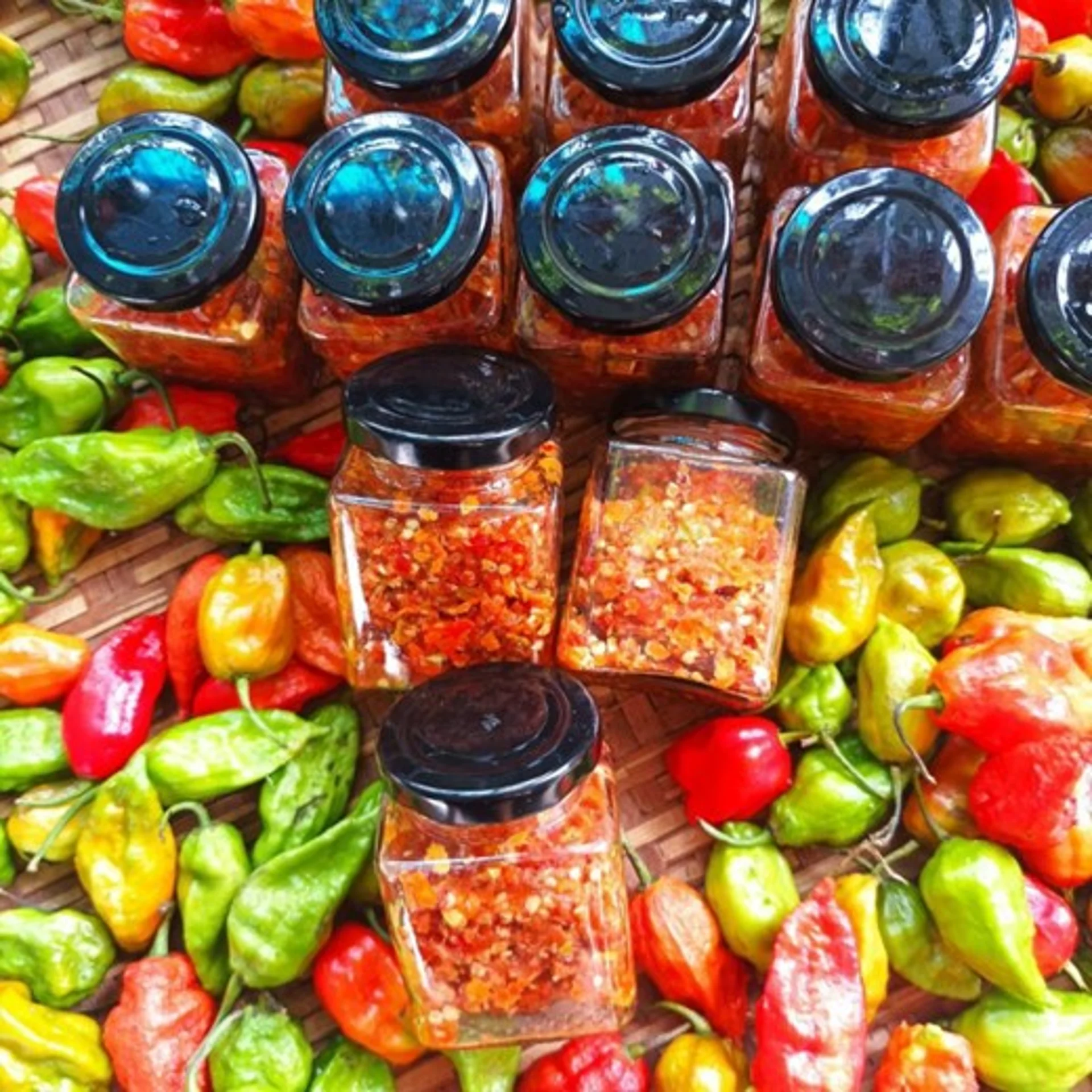 Hình ảnh bài viết