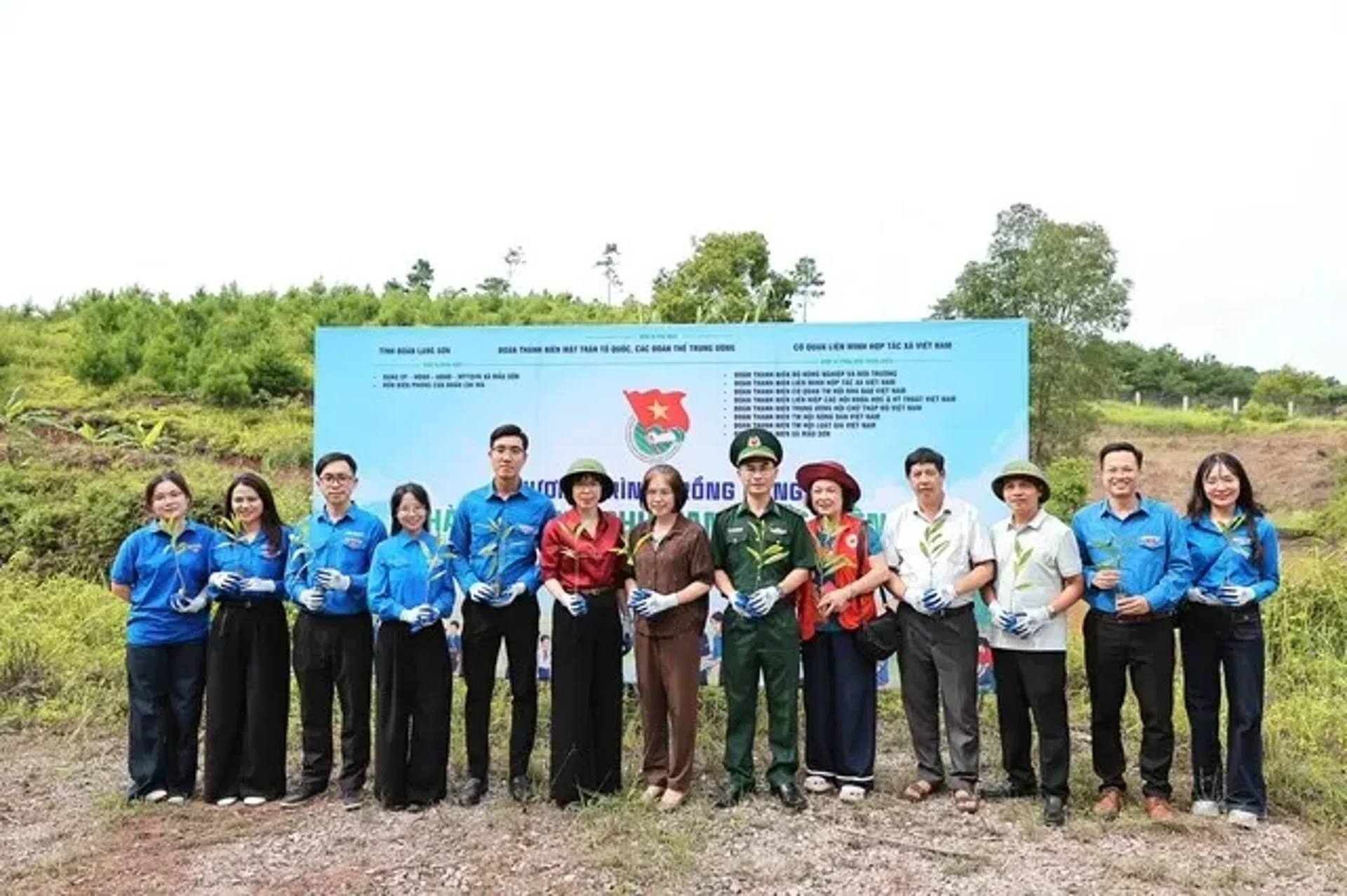 Hình ảnh bài viết