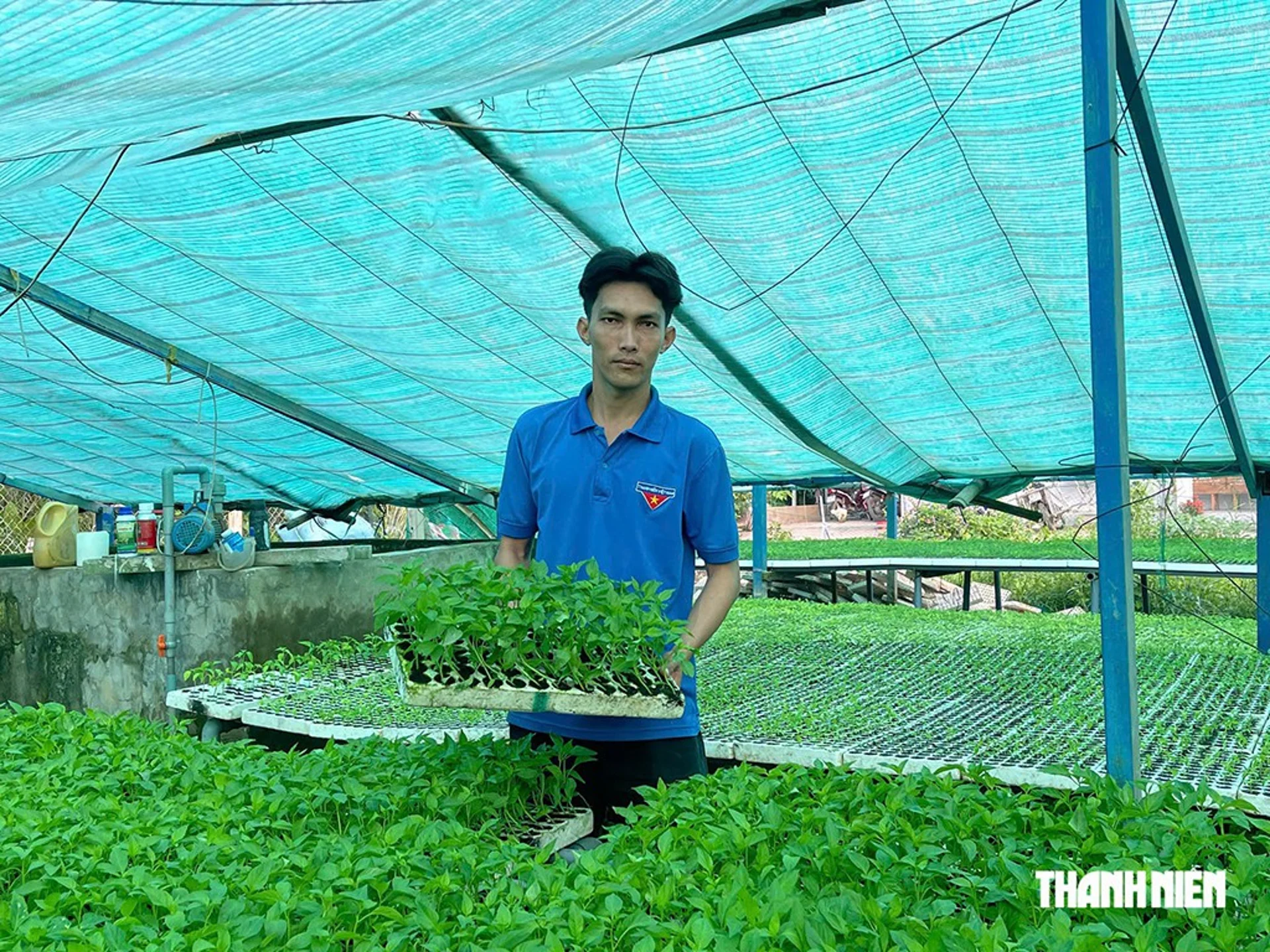 Hình ảnh bài viết