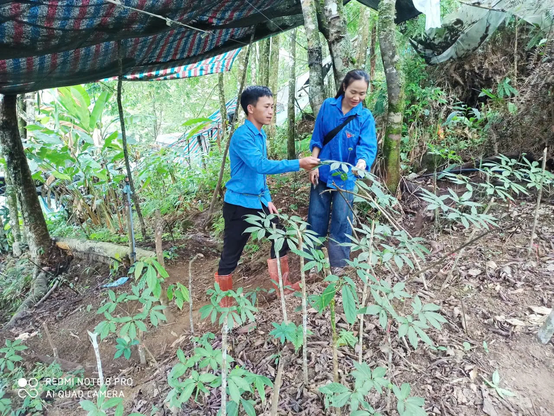 Hình ảnh bài viết