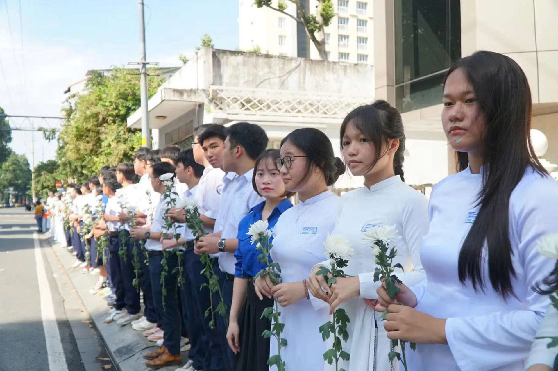 Hình ảnh bài viết