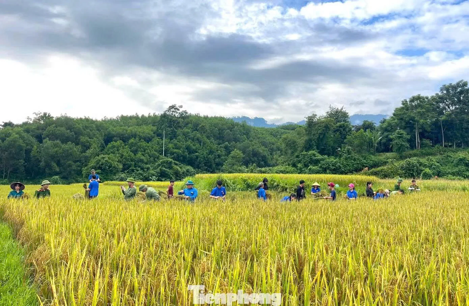 Hình ảnh bài viết