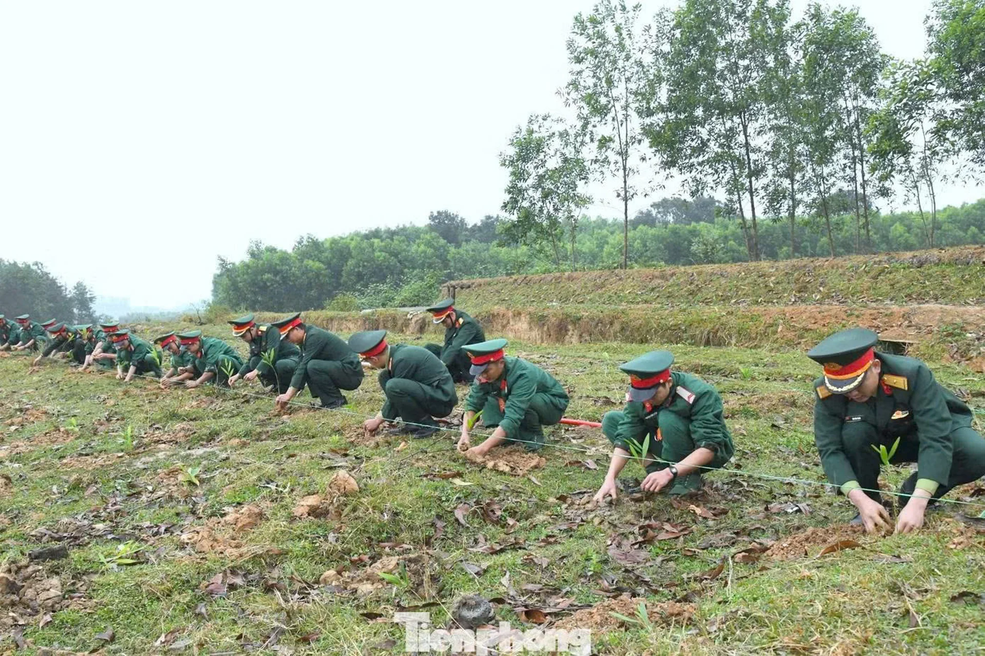 Hình ảnh bài viết