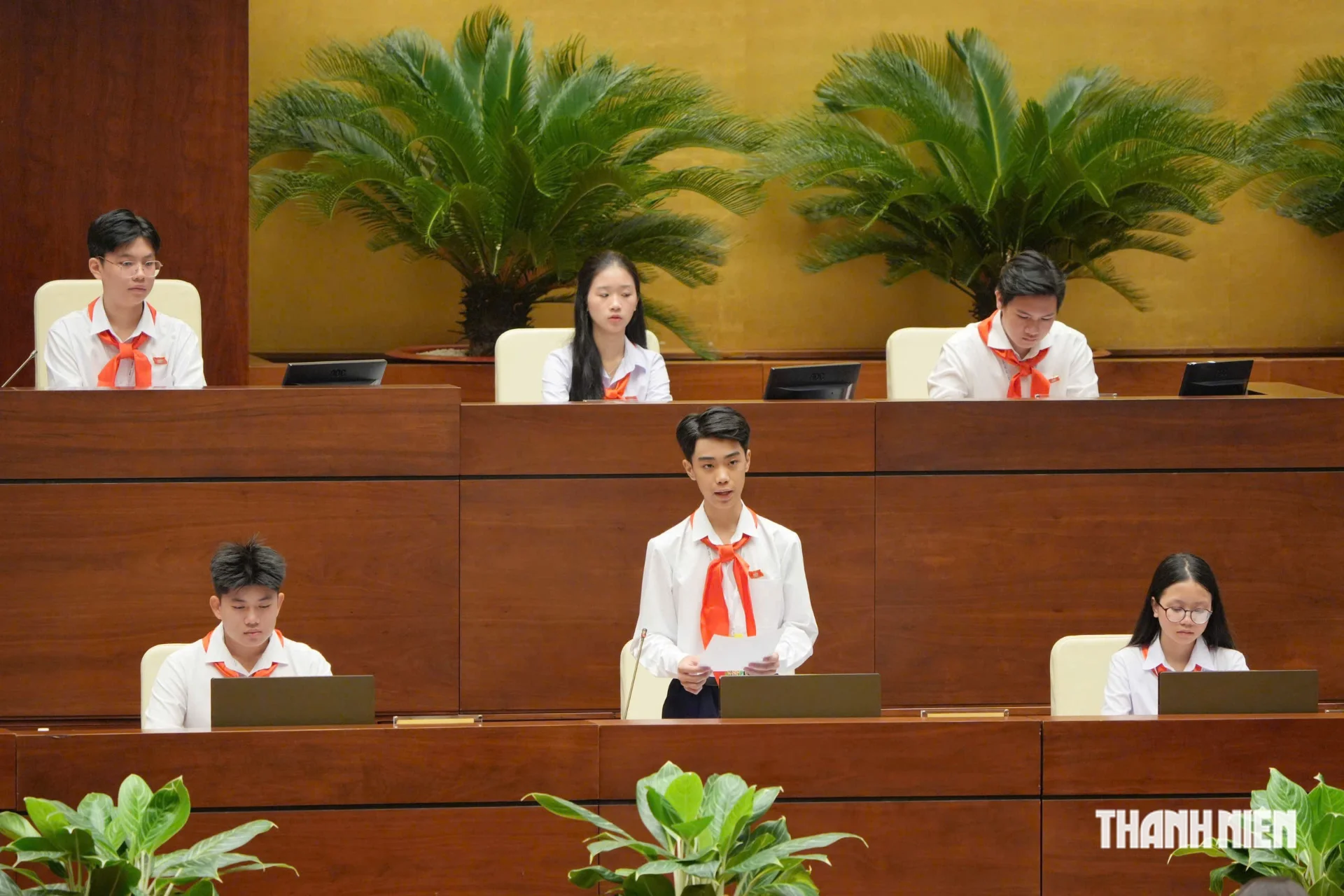 Hình ảnh bài viết