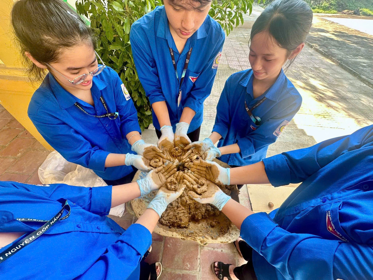 Hình ảnh bài viết