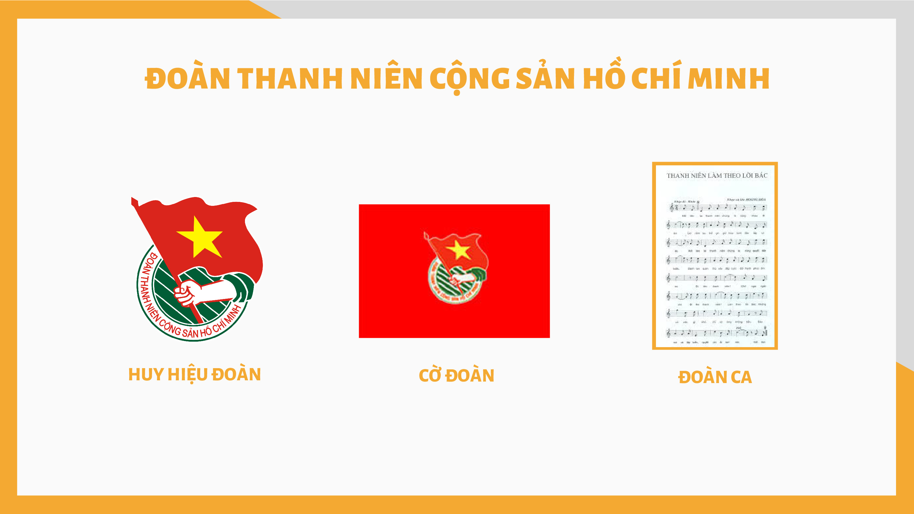 Đoàn TNCS Hồ Chí Minh: Đoàn TNCS Hồ Chí Minh là tổ chức tình nguyện hàng đầu của thanh niên Việt Nam. Với những hoạt động vì cộng đồng và vì đất nước, Đoàn luôn là điểm tựa vững chắc cho các thanh niên trẻ. Với những hành động tích cực và ý nghĩa, Đoàn TNCS Hồ Chí Minh đã tạo nên những dấu ấn đậm nét trong cộng đồng.