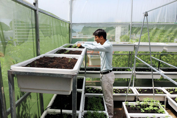 Mô hình trồng rau thủy canh của Hội Nông dân xã Tam Thanh