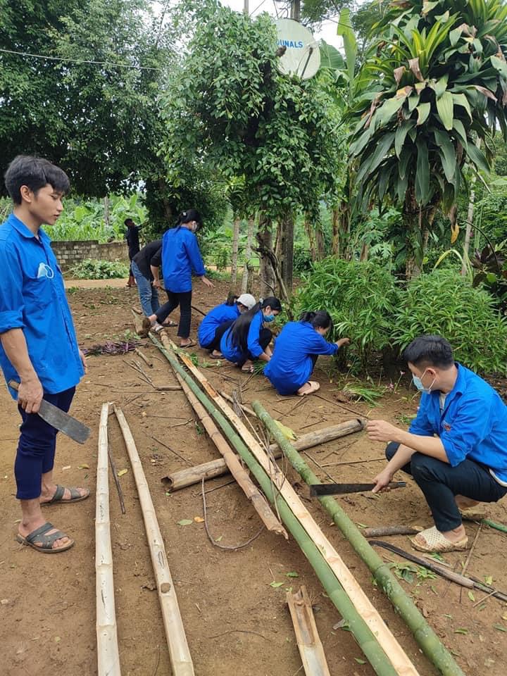 Đẩy mạnh phong trào cải tạo vườn tạp gắn với xây dựng nông thôn mới  Báo  Nam Định điện tử