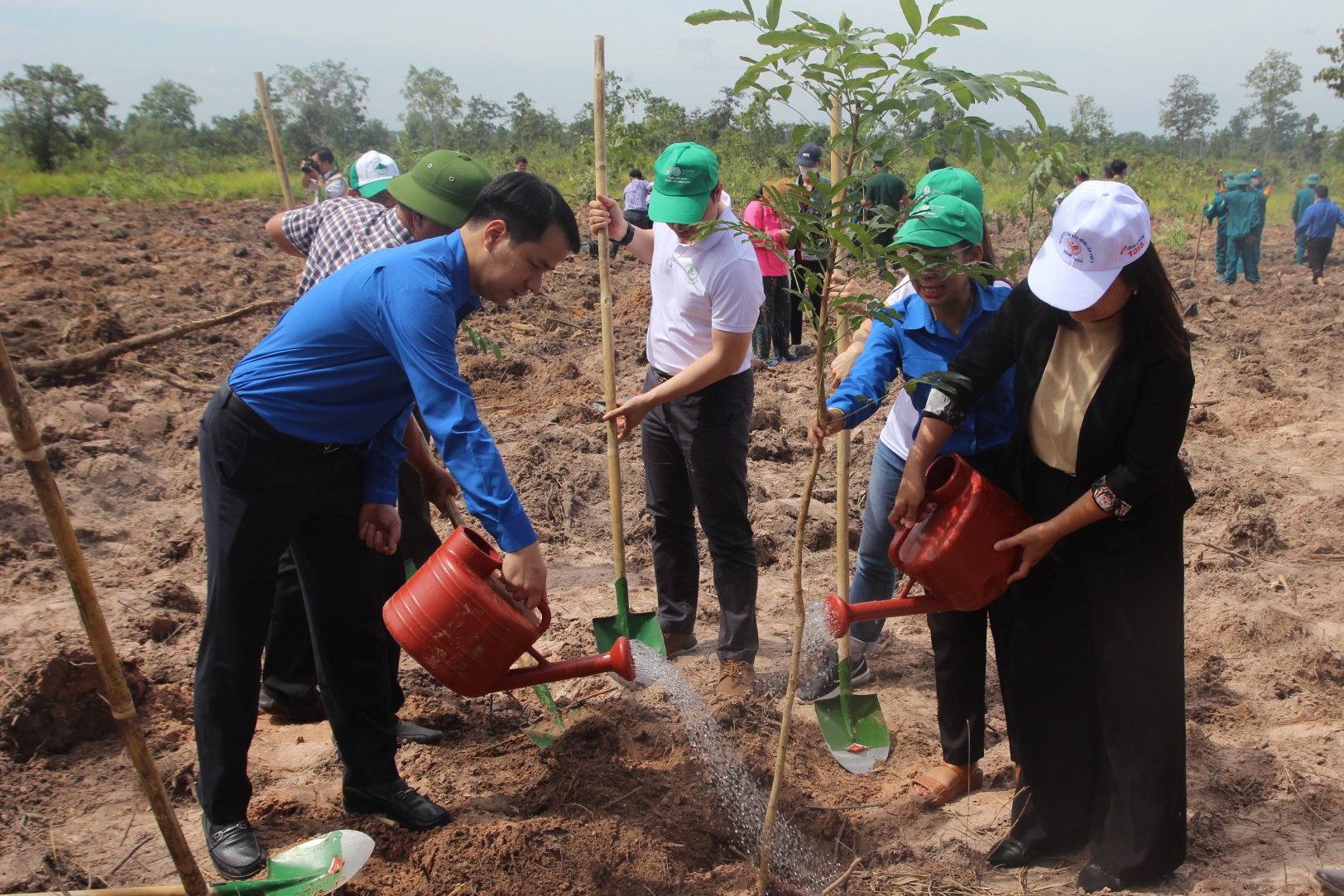 Phủ xanh rừng đầu nguồn hơn 101.000 cây xanh tại Đắk Lắk và Đắk Nông